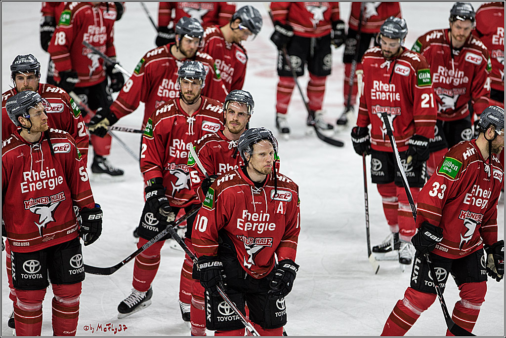 DEL, Koelner Haie - Grizzlys Wolfsburg, 21.03.2017